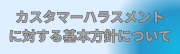 �J�X�^�}�[�n���X�����g�ɑ΂����{���j